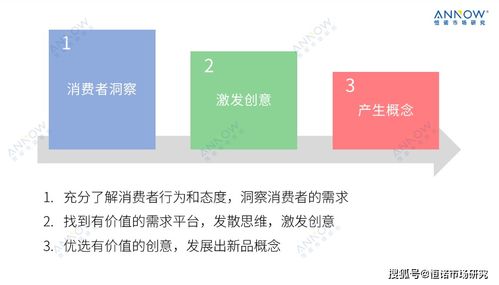 產(chǎn)品研發(fā)早期創(chuàng)新研究指南 聚焦計算機軟件開發(fā)