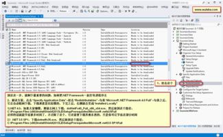 安裝與授權(quán)管理工具InstallShield v24.0.573 的合法使用與軟件安全探討